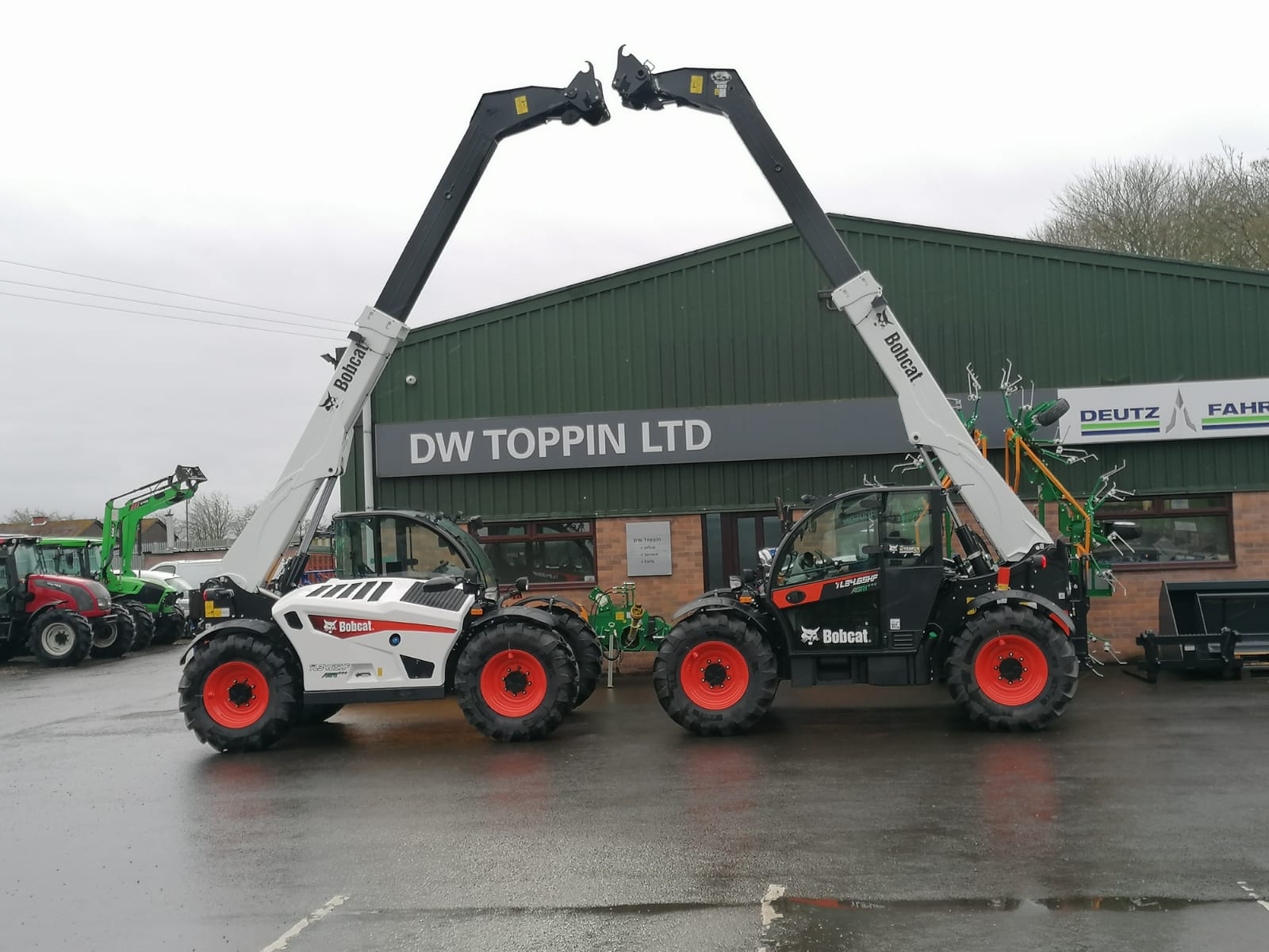 Bobcat at DW Toppin